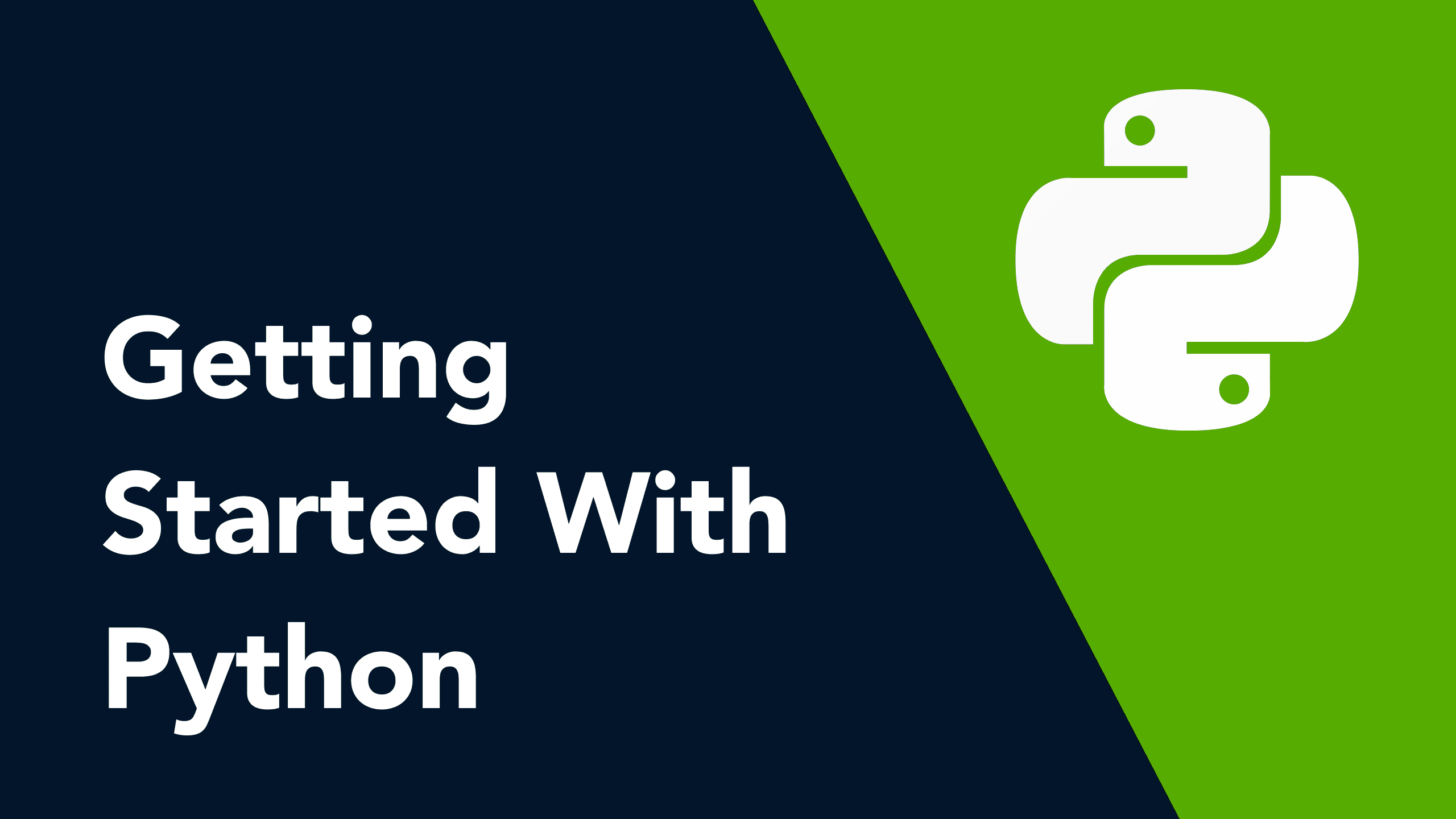 Introduction To Python Programming | The Codex